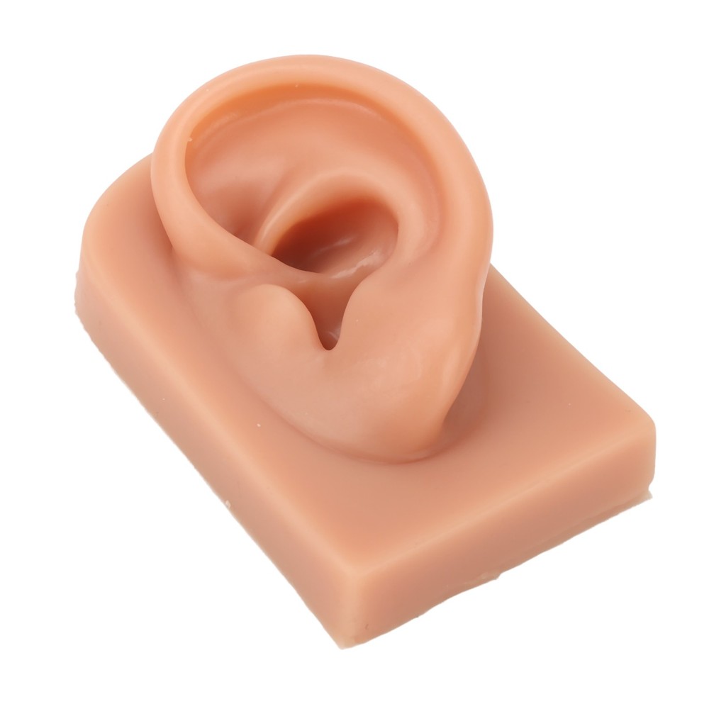 Professional Piercing Practice Ear Model For Earrings Display NEW↑