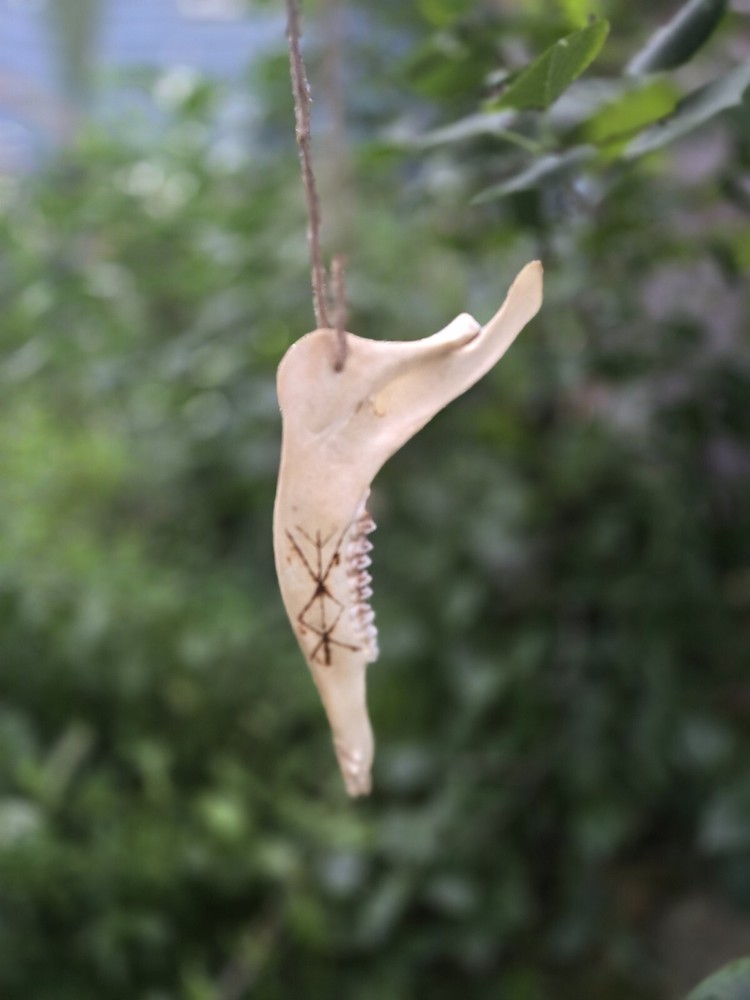 Deer Jaw Wall Hanger