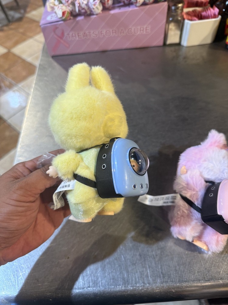 Labubu backpack and a mini figure inside