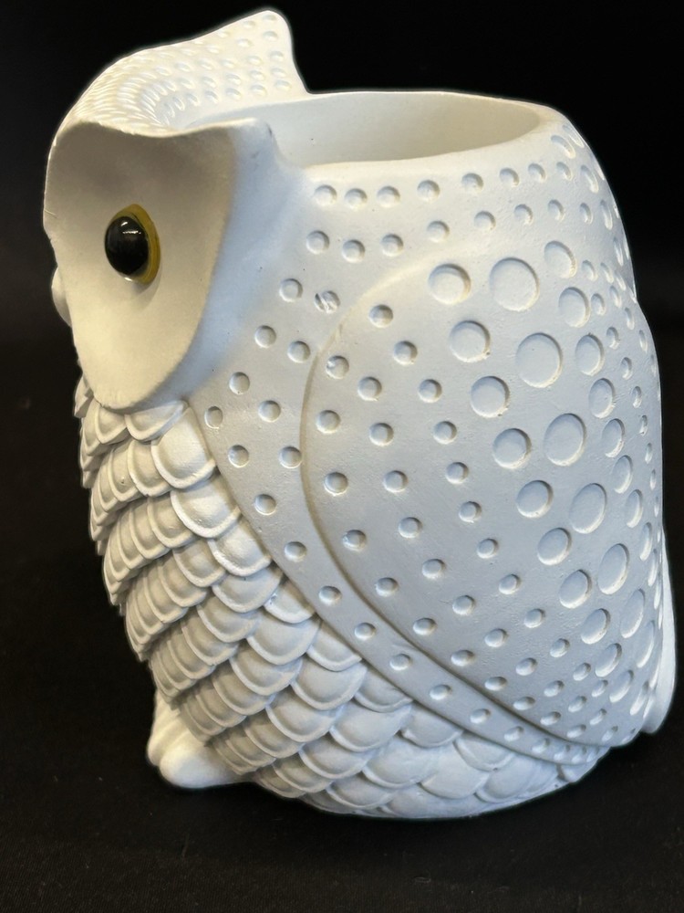 Owl Planter. Resin Beautiful