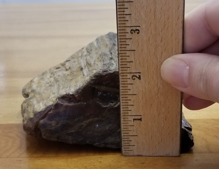 PETRIFIED WOOD 1.10 LBS