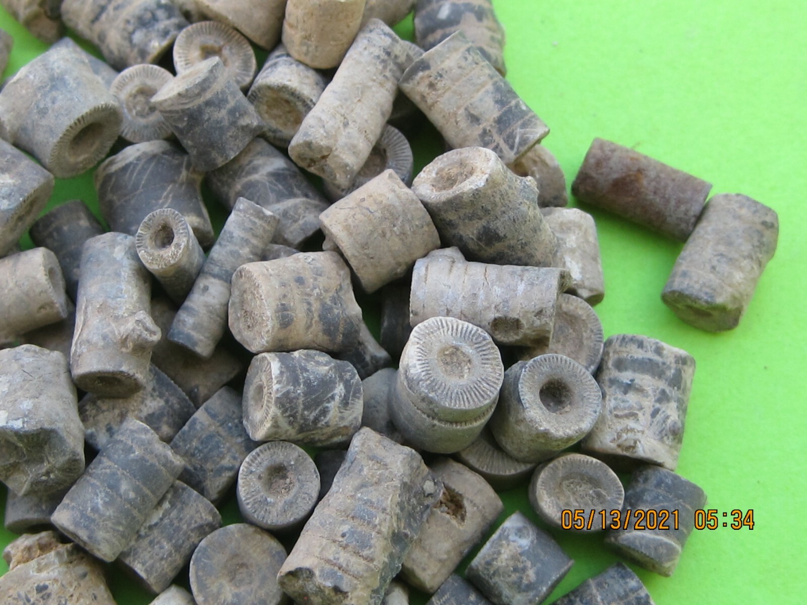 LOT OF 250 FOSSILS 25 of 10 DIFFERENT WHOLESALE