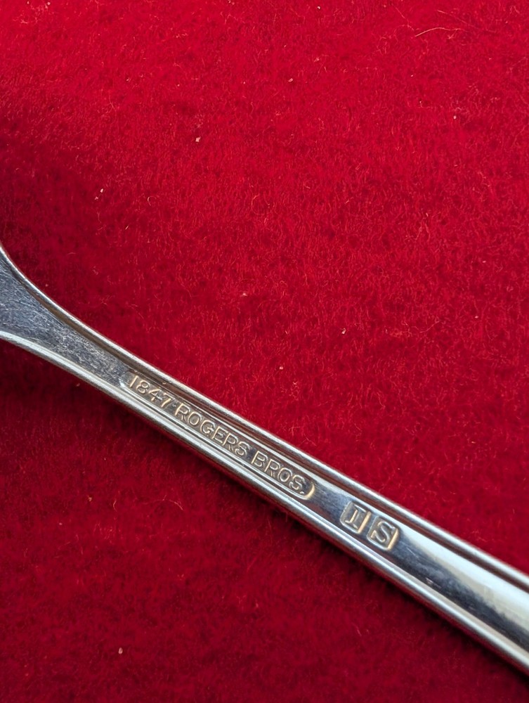 INT'L Silver ETERNALLY YOURS Silverplate Pierced PIE Server READ DESCRIPTION