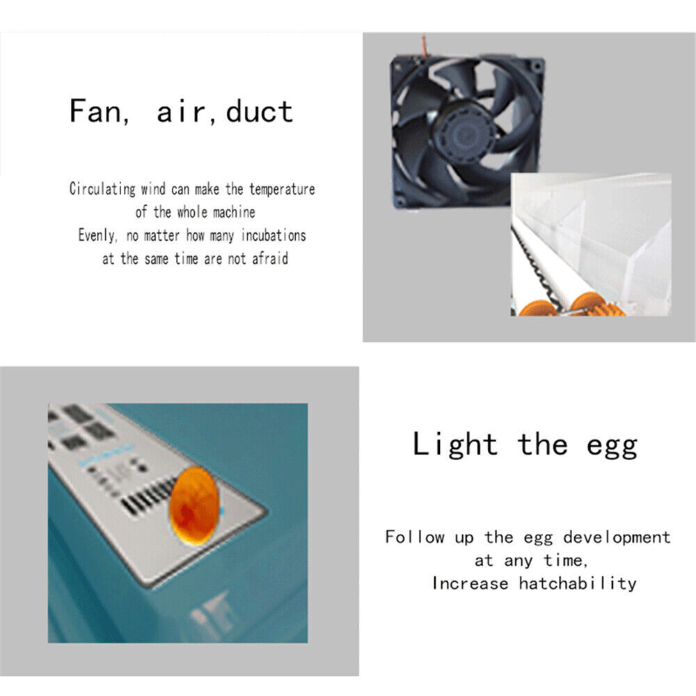 36 Eggs Incubator Chicken Incubators for Hatching Quail Automatic Egg Turning