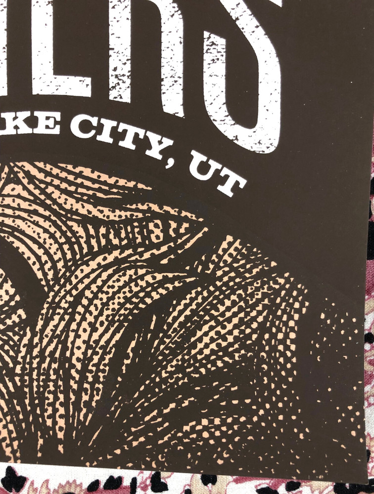 The Avett Brothers Poster Status Serigraph Silk Screen Poster Salt Lake 2011