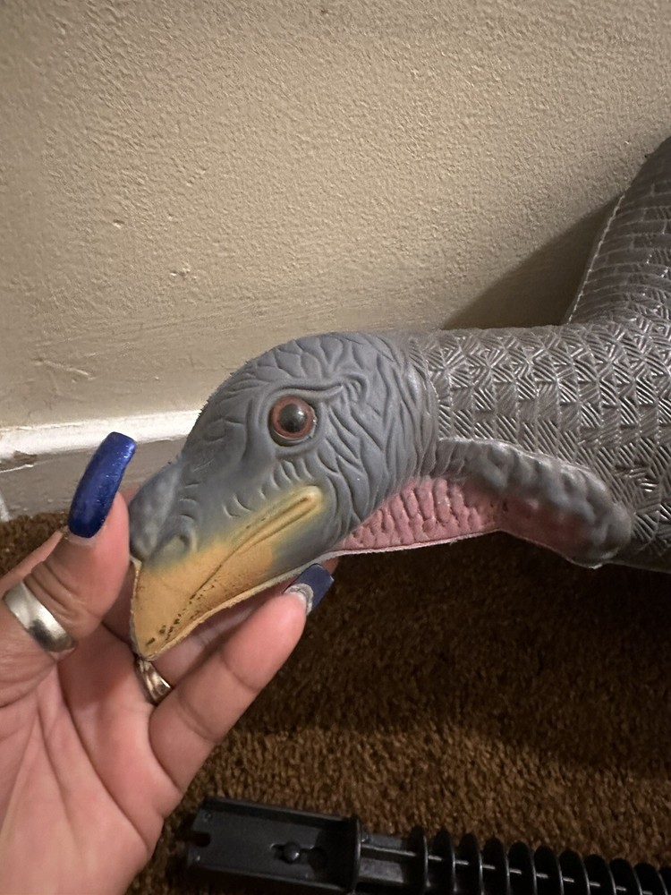 turkey decoy used