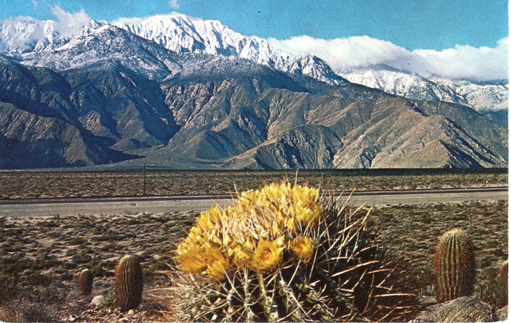 A SPRINGTIME CONTRAST ON THE DESERT - PC6239