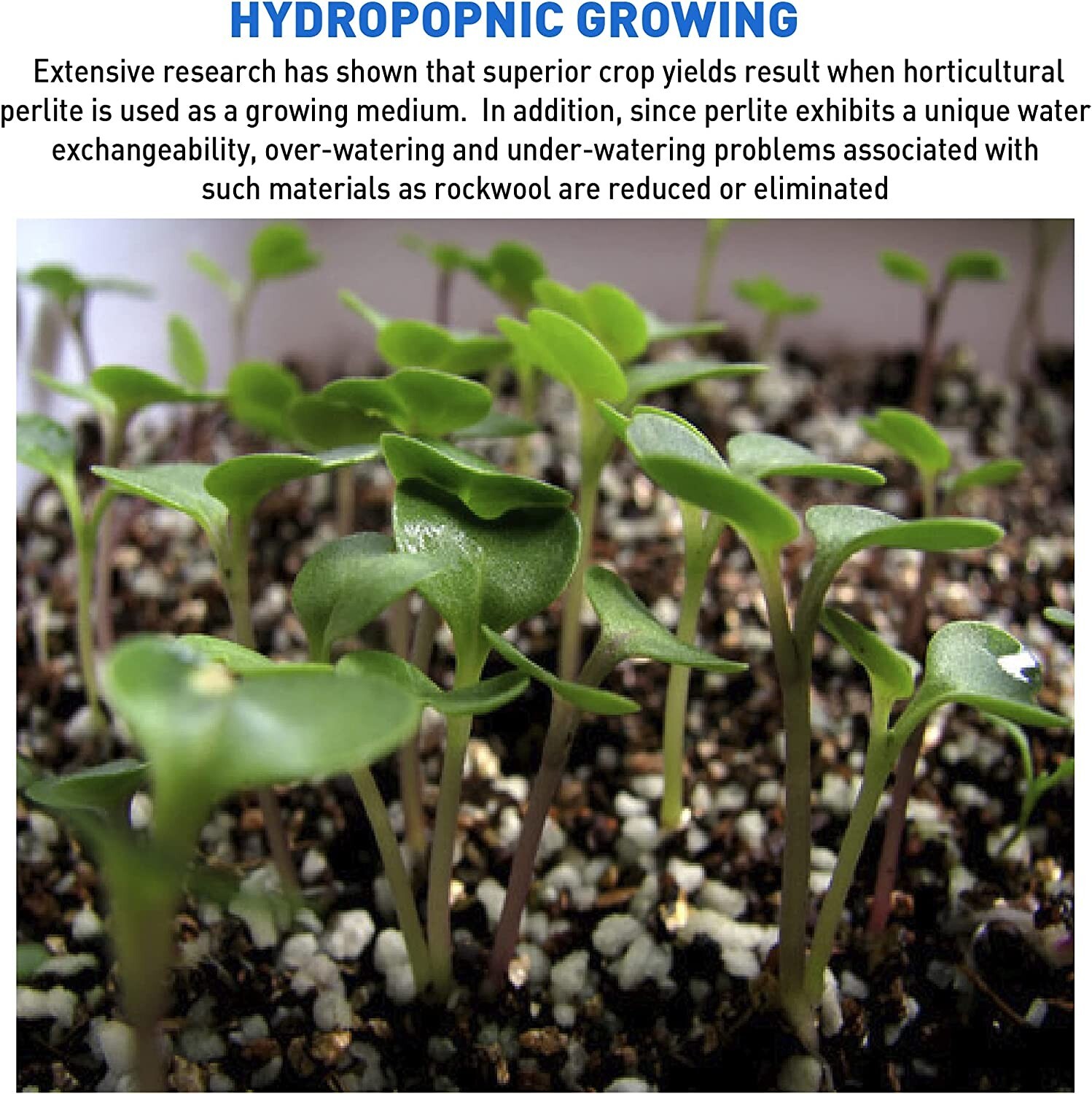 AeroSoil Perlite Horticultural Soil Additive – Seed Starter - Coarse 4 CF