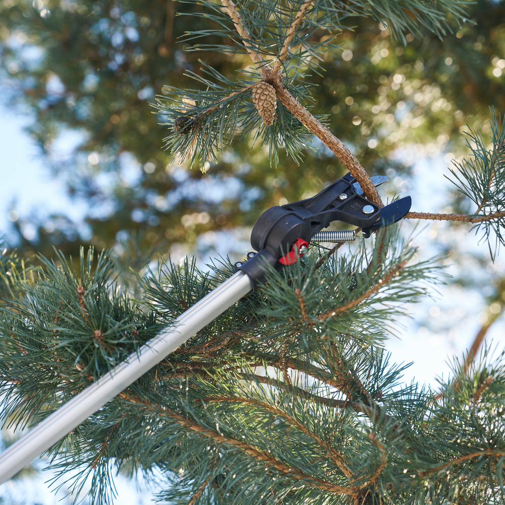 Felco 290 pole saw