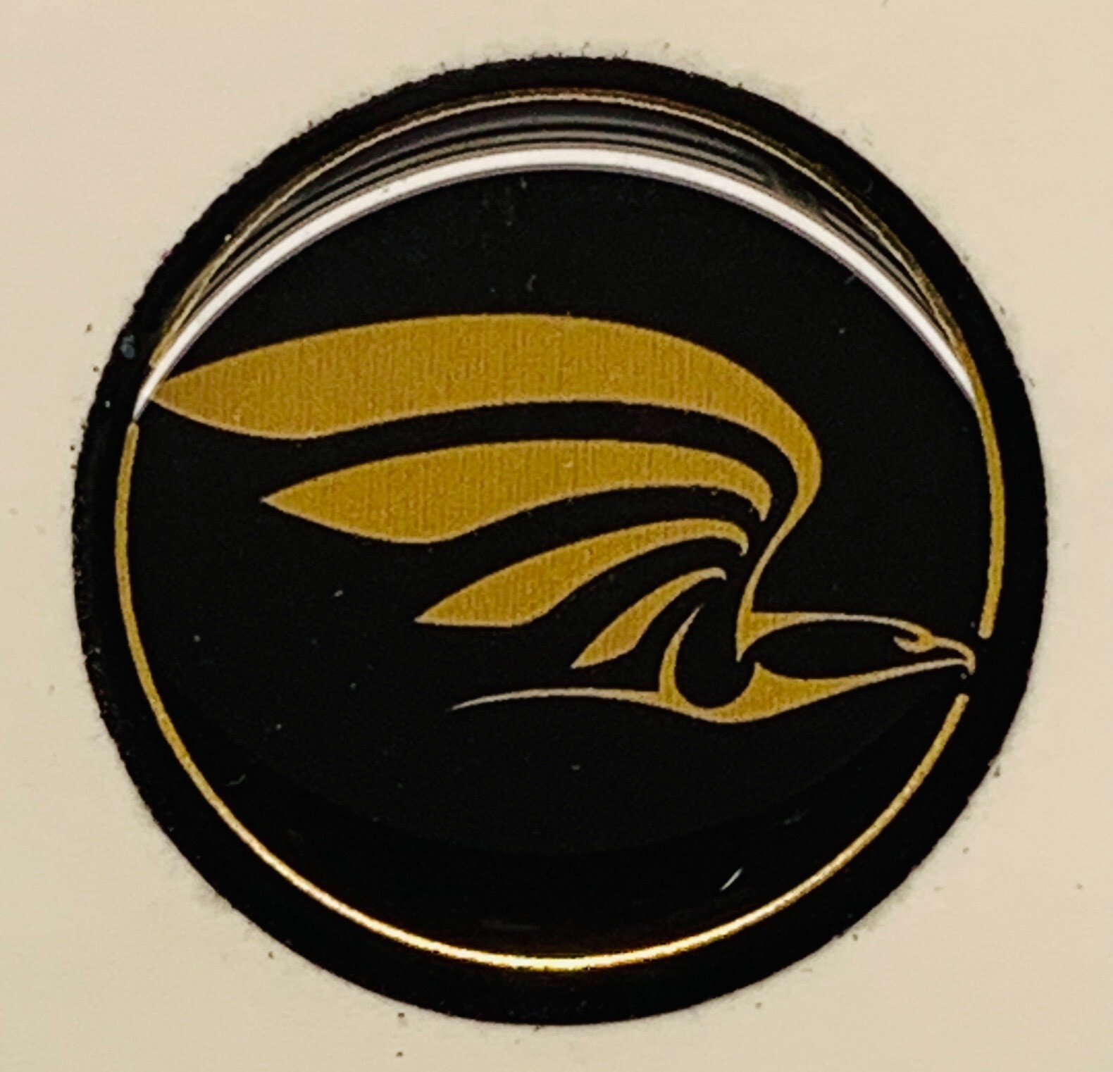 C-GESB CESSNA GOLDEN EAGLE SEATBELT BUCKLE APPLIQUES (PAIR)