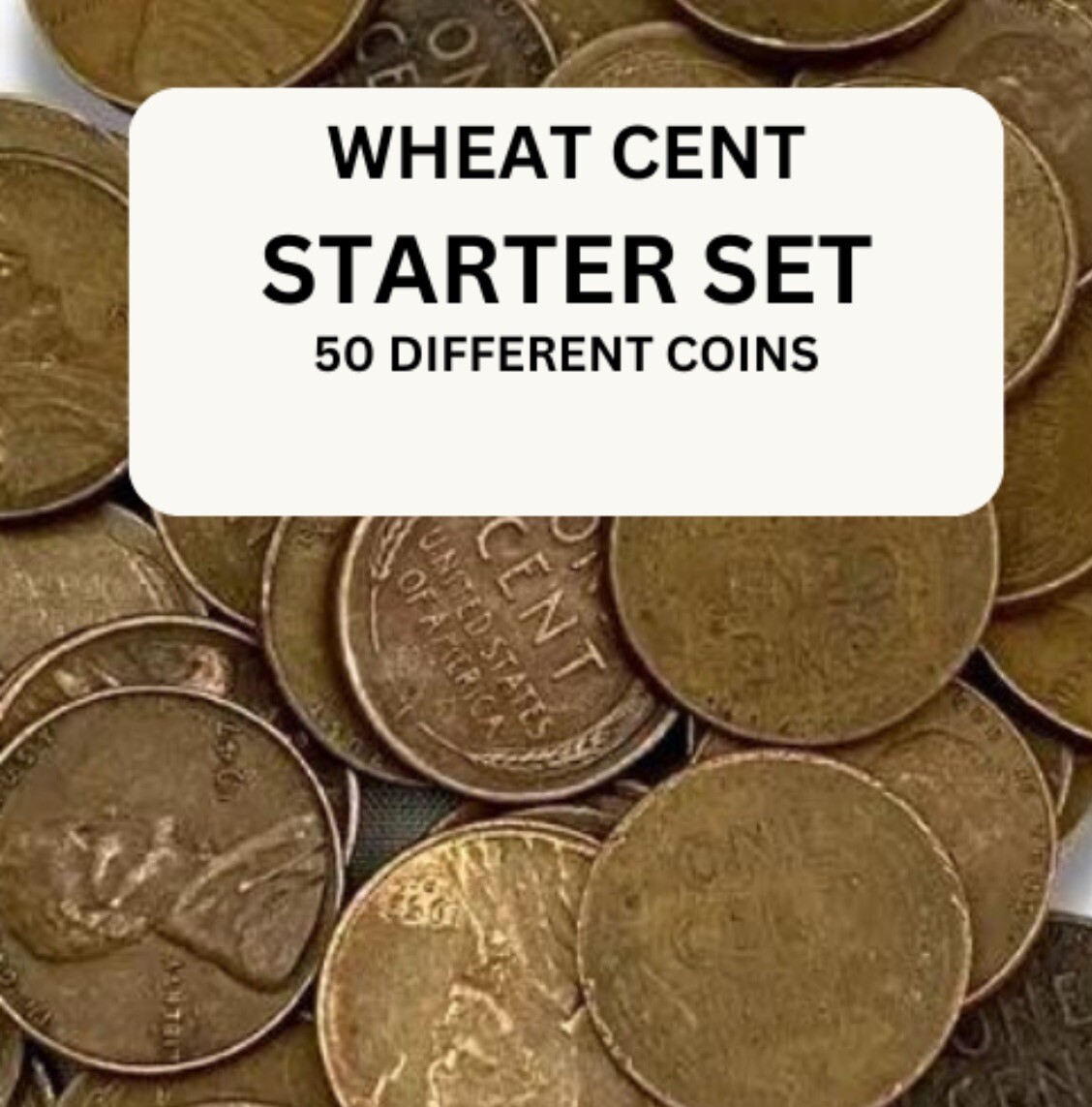 50 Different Lincoln Wheat Cents / Pennies Starter Set