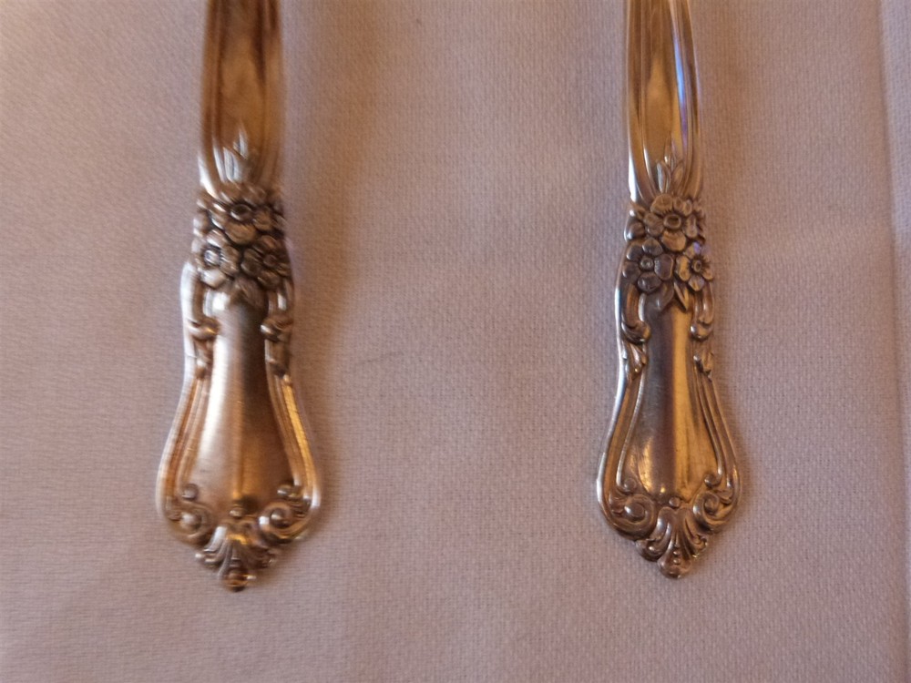 2 VINTAGE Oneida VALLEY ROSE Wm A Rogers Silverplate Serving Spoon & Cake Sever