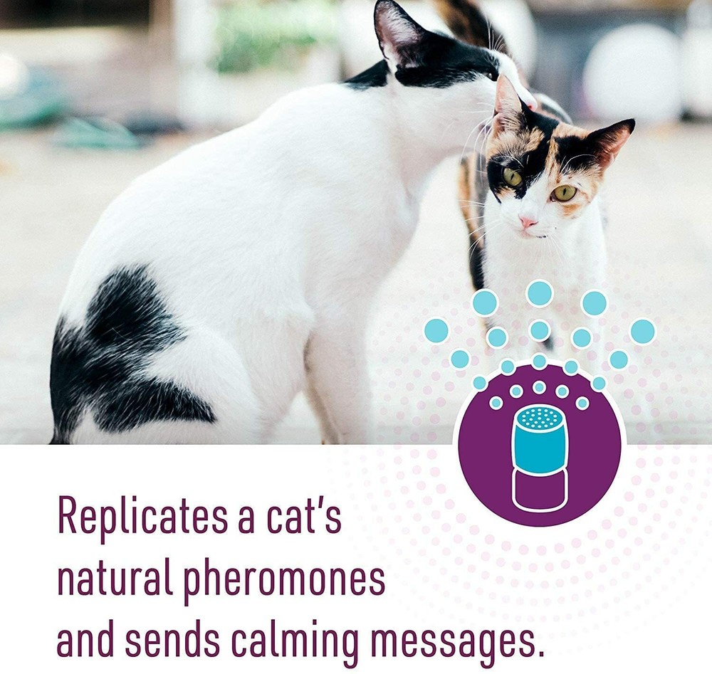 Comfort Zone MultiCat Calming Diffuser Refill for Cat Calming, 6 pack