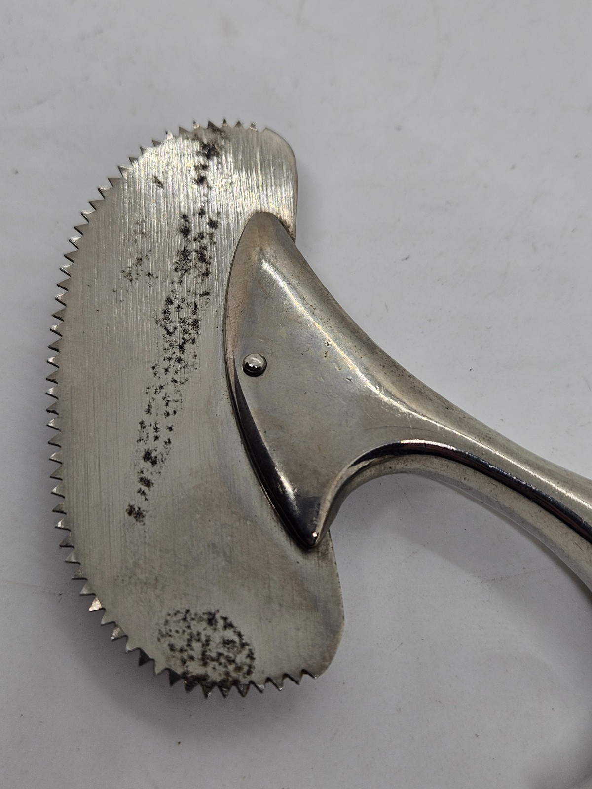 Antique 19th C. Orthopedic Bone Saw Surgeon Doctor's Amputation Bone Saw