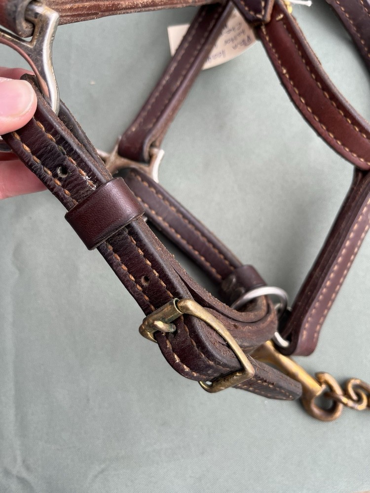 Supple Leather Halter With Chain Lead
