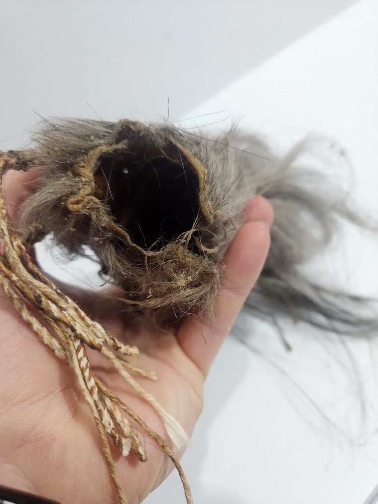 Shrunken Head, Oddities Curiosities,wierd Medium Used