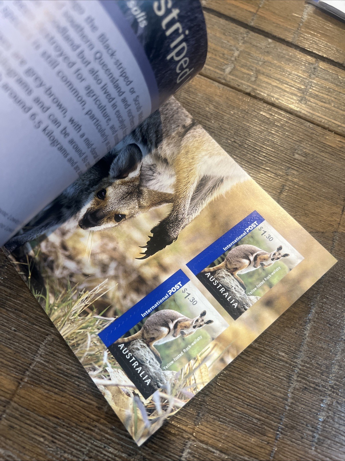 Lot Of 6: Australia Prestige: Dogs, Dangerous Aussies, Wallabies, Birds, Etc.