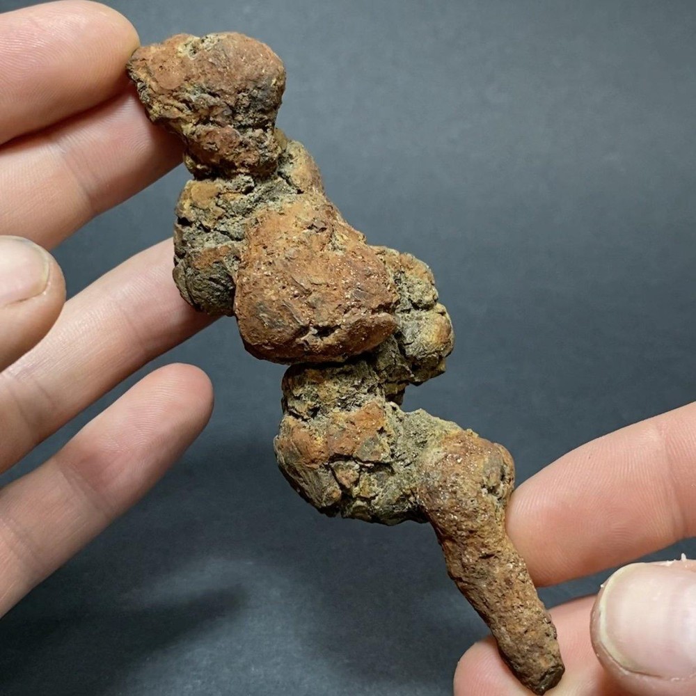 Copralite, Fossilized Turtle Poop #3