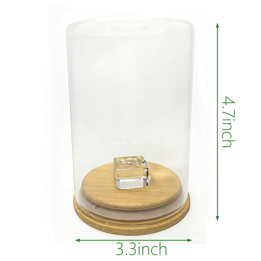 Ultra Clear Glass Display Case Dustproof Sealed Solid Wood Base Flat Stackable f