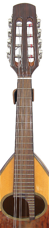 Japan NAGOYA Suzuki M30 Solid Spruce top Solid Maple Bowl back Mandolin OJMN377