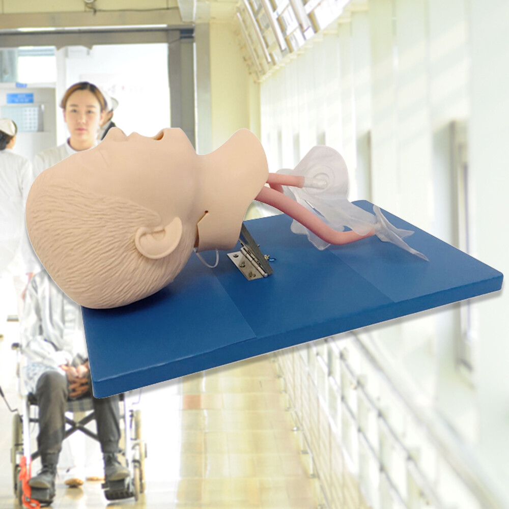 Intubation Manikin Study Teaching Training Model Airway Management Trainer Model