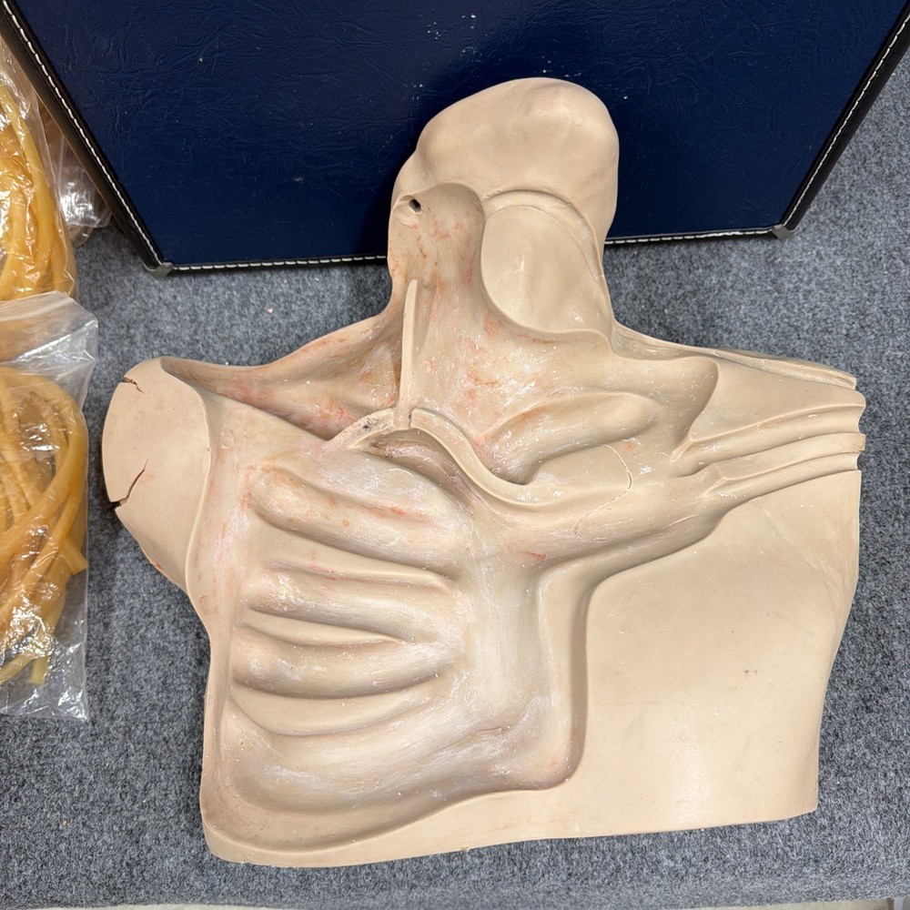 NASCO Life Forms Replica - Central Venous Cannulation Simulator W/ Case & Tubes