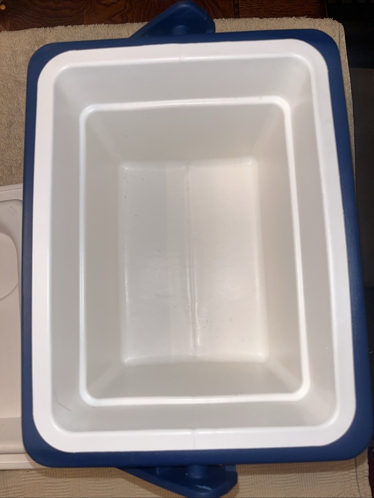Sony Mega Watchman Igloo Cooler