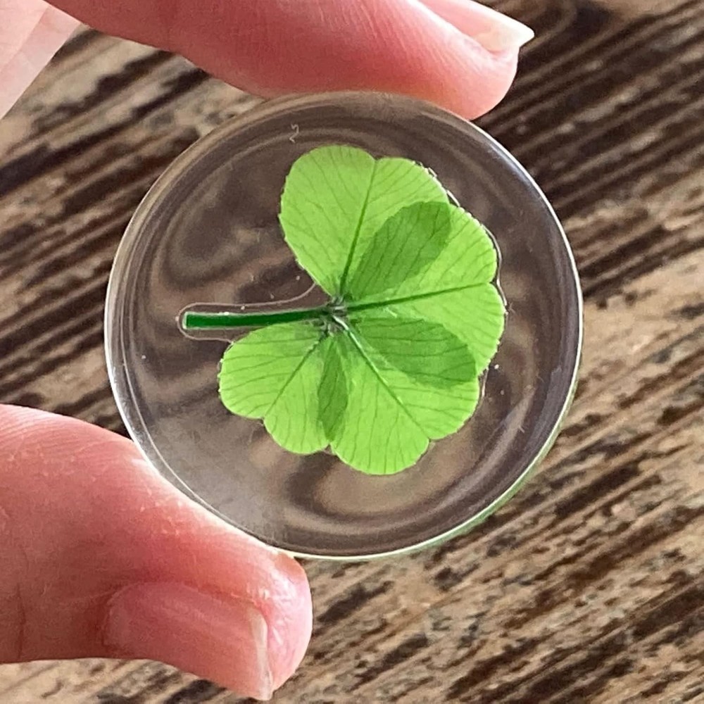 Real Preserved Four Leaf Clover Good Luck Token - Handmade Keepsake 1.25”