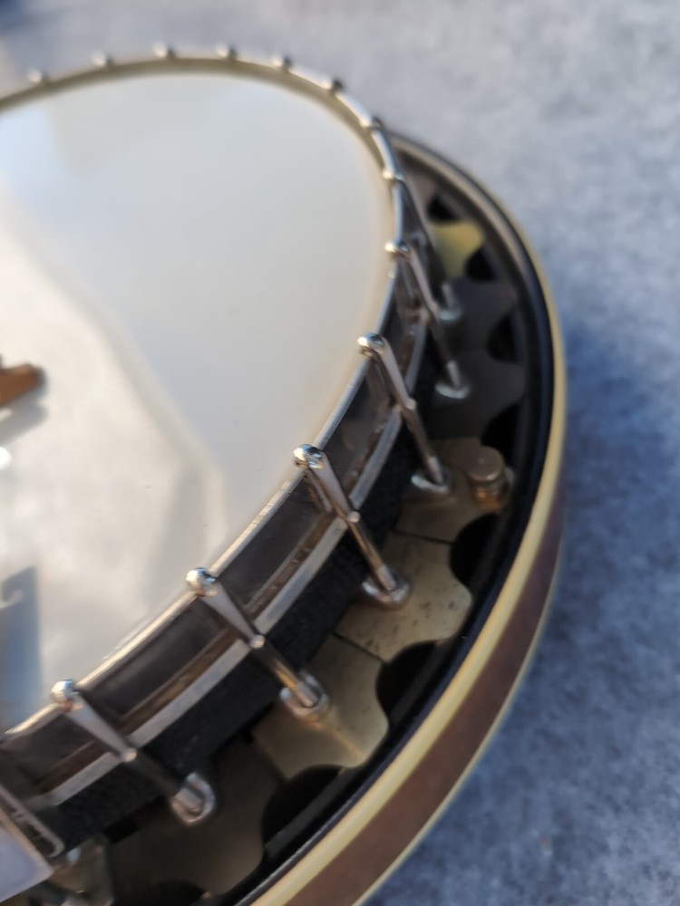 vega banjo 4 string With Case