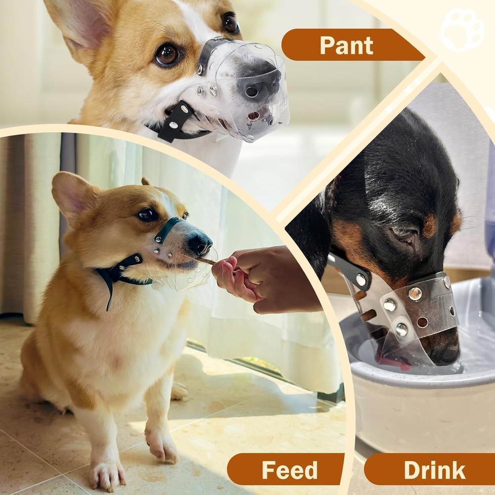 Dog Muzzle, Basket Muzzle for Small Medium Dogs Poodle Dachshund Corgi, Clear...