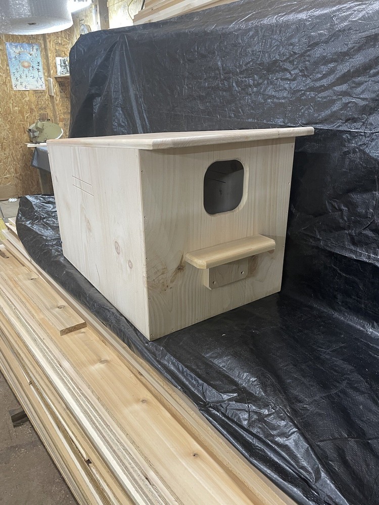 Barn owl Nesting Box