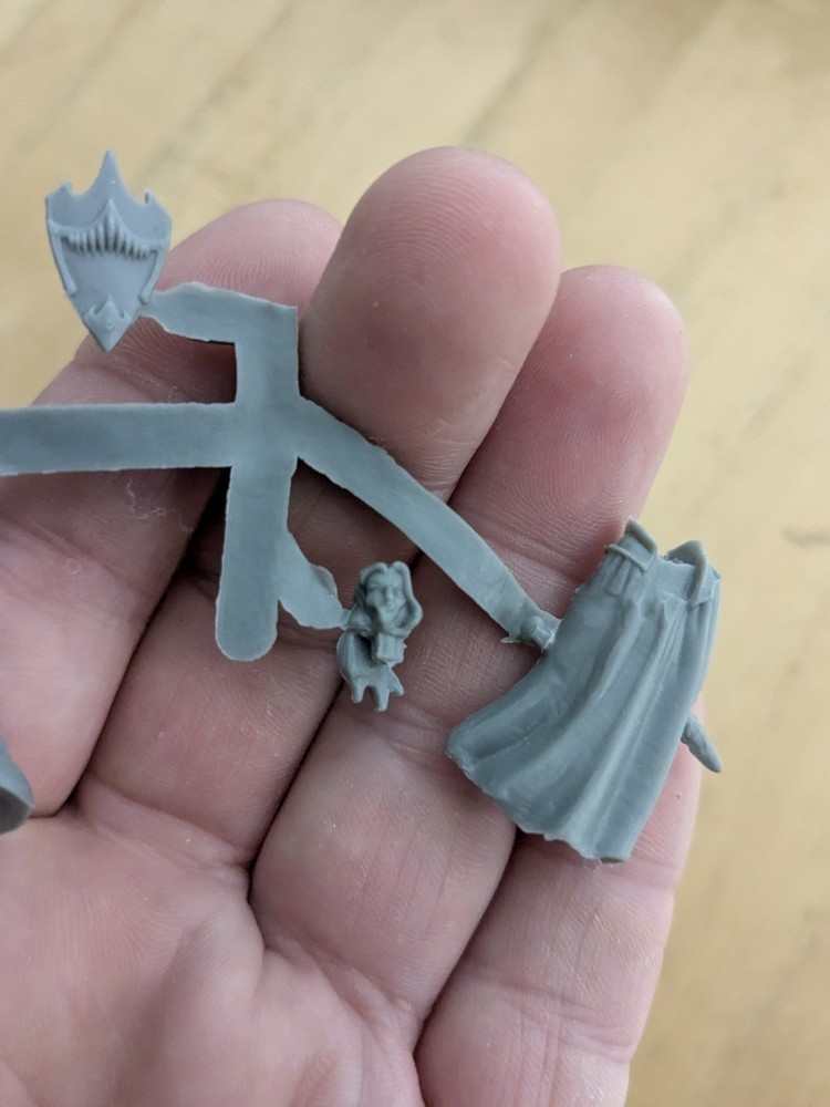 Reaper Bones Dark Elf Warrior