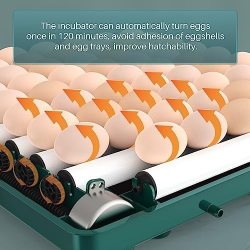 Incubators for Hatching Eggs, Egg Incubator with Automatic Egg Turning and Humid