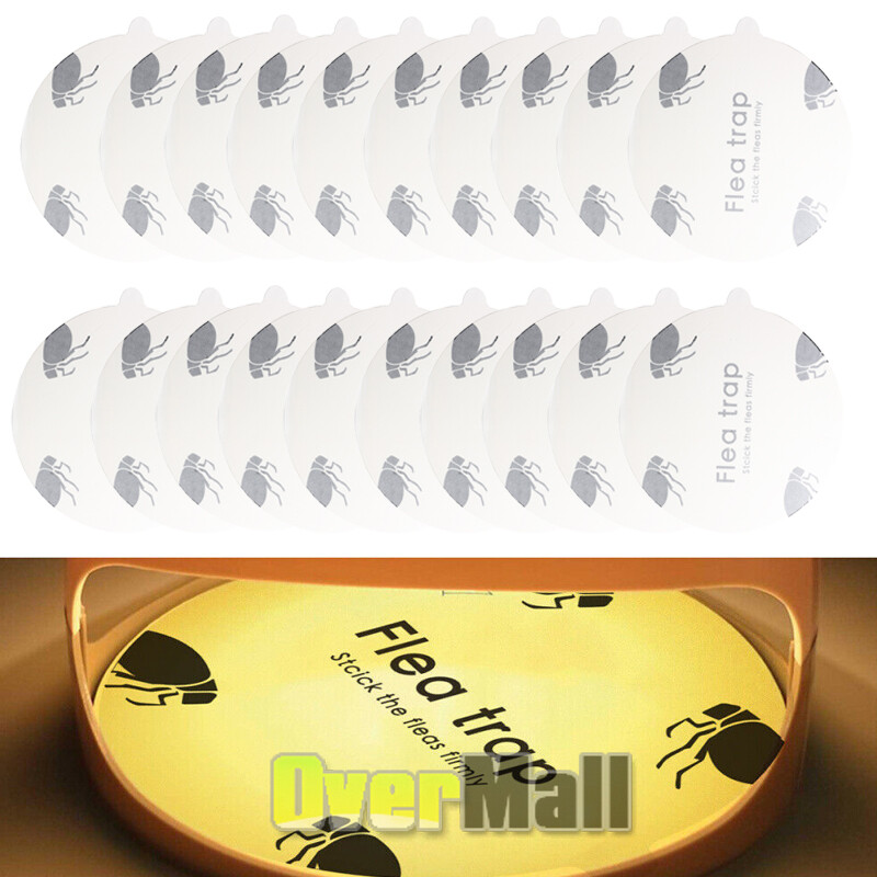Lots Disposable Flea Trap Sticker Sticky Bug Flea Trap Refill Flea Glue Discs