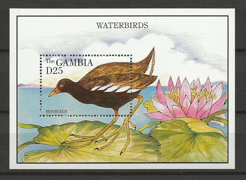 Gambia 1995 birds  MNH (c443)