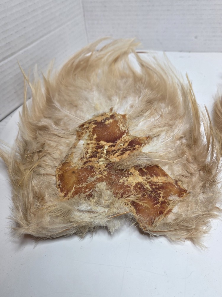 Two Ginger Saddle Hackles Fly Tying Materials Unbranded