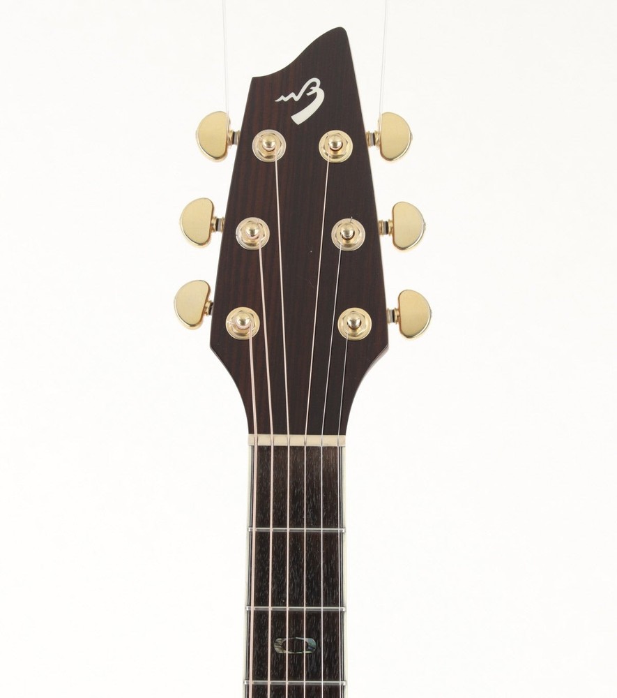 Breedlove AC25/SR PLUS [06041903]