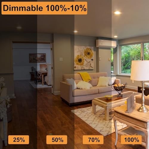 100 Watt Incandescent Light Bulbs, A19 Clear Incandescent Rough Service Light 4