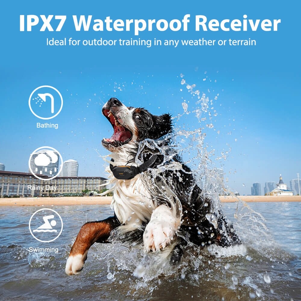 Long Range Dog Training Collar 910Pro (3/4 Mile) (Black)