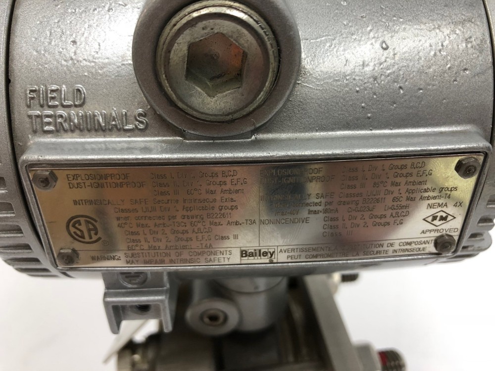 Bailey Level Transmitter PTSDLD1A1A2210C W/ 3" 150# Flange