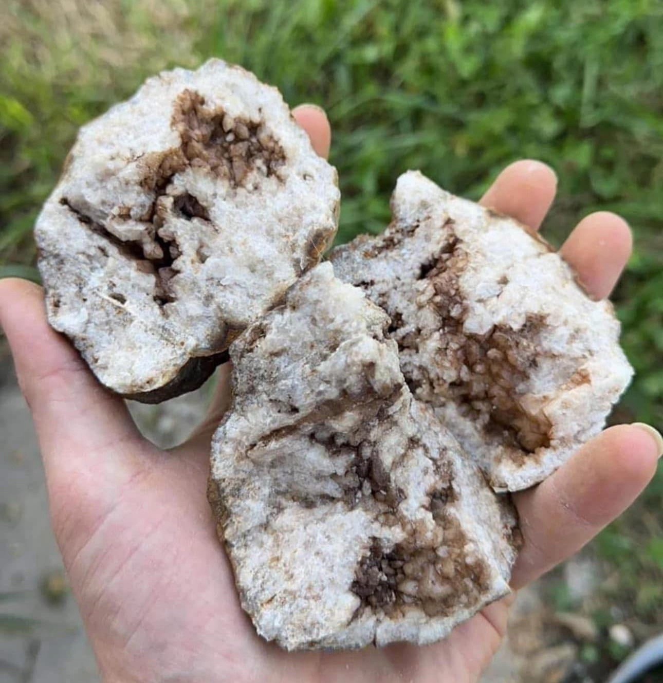 Box Of 10 Whole Natural Kentucky Geodes. FAST FREE SHIPPING! Read Description.