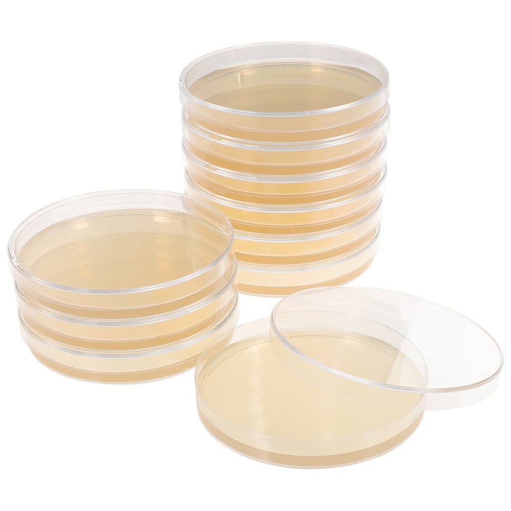 10 Pcs Prepoured Petri Dish Nutrient Agar Plate Extract