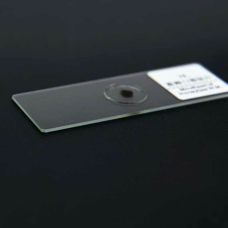 100PCS Educational Specimen Lab Biological Prepared Glass Microscope Slides