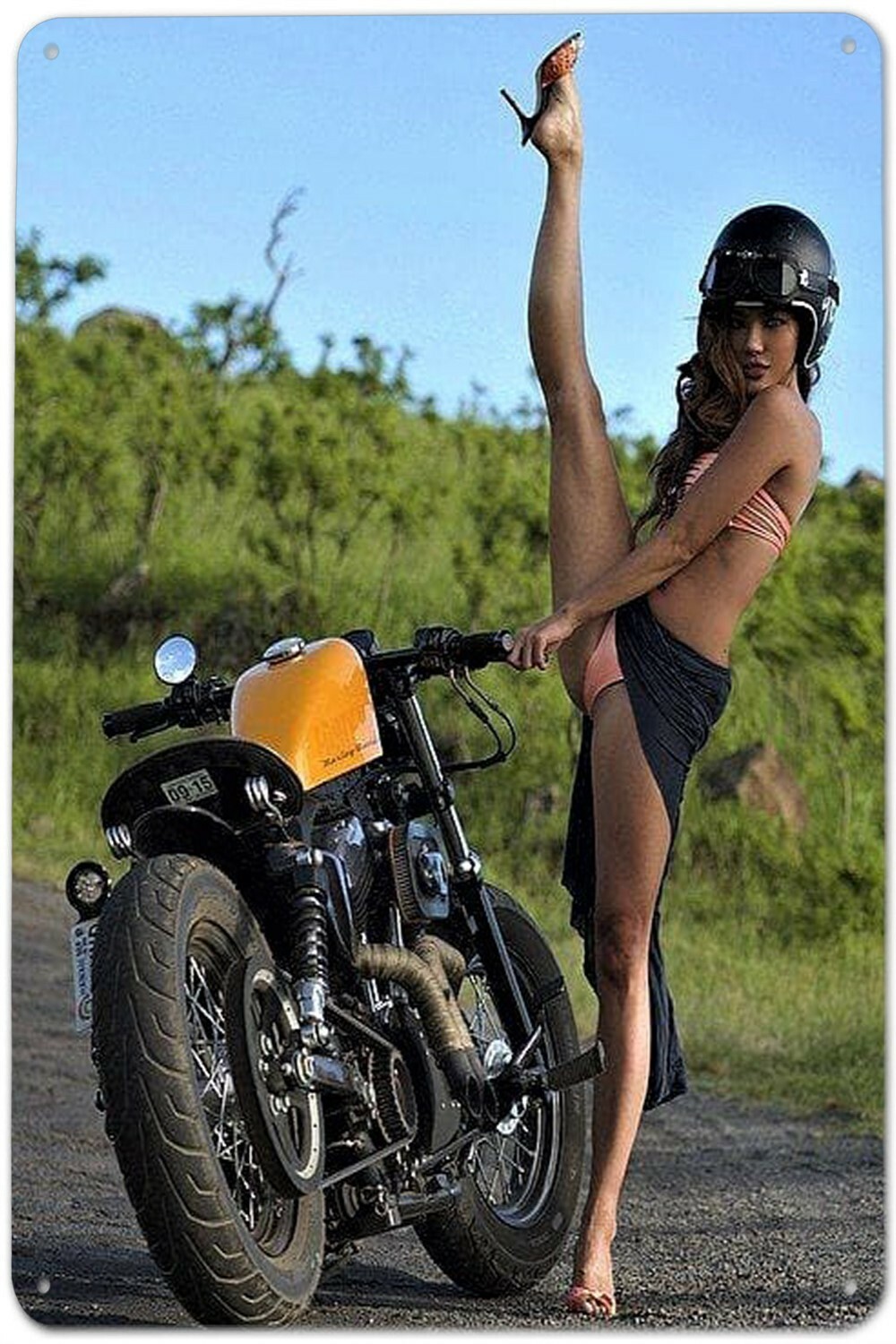 Harley Biker Babe #2 Tin Sign (Panhead Knucklehead Fatboy Sportster Twin ) CGH60