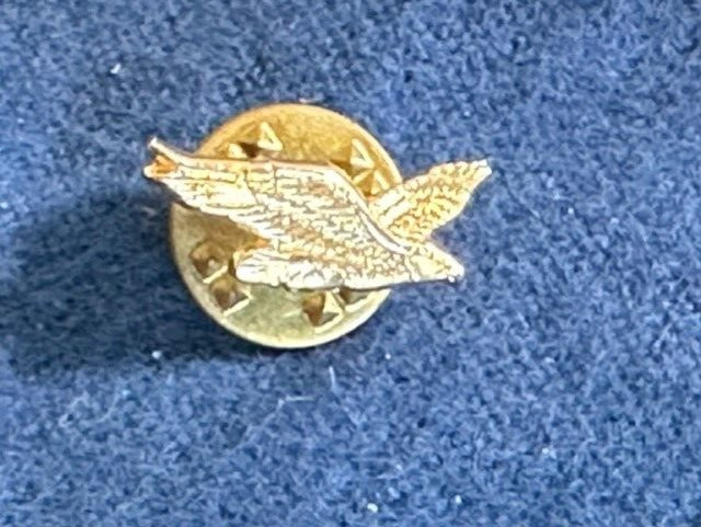 Unmarked Eagle Stud gold tone lapel jacket pin 5/8" TX174