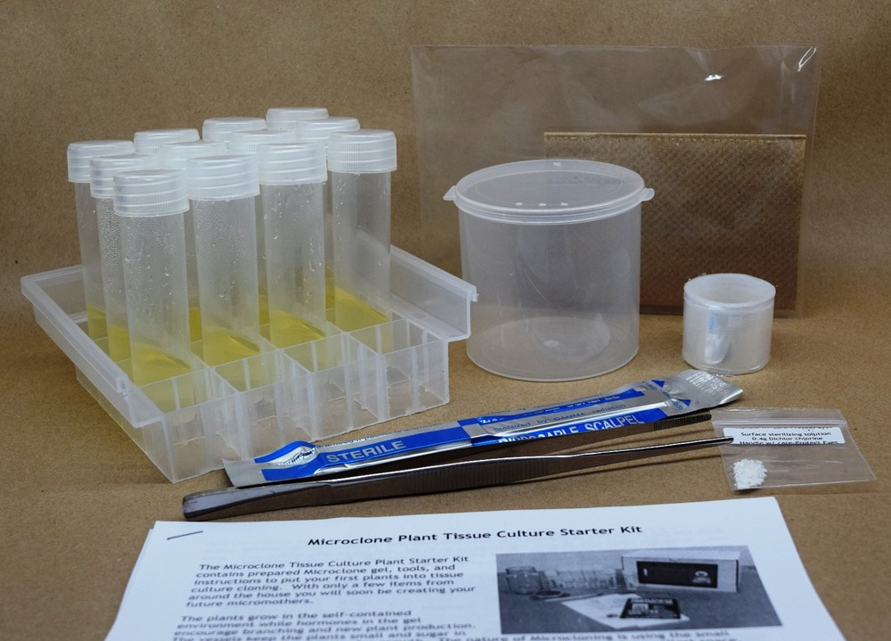 Tissue Culture Starter Kit 36 Microclone Tubes Most Plants Include Cannabis