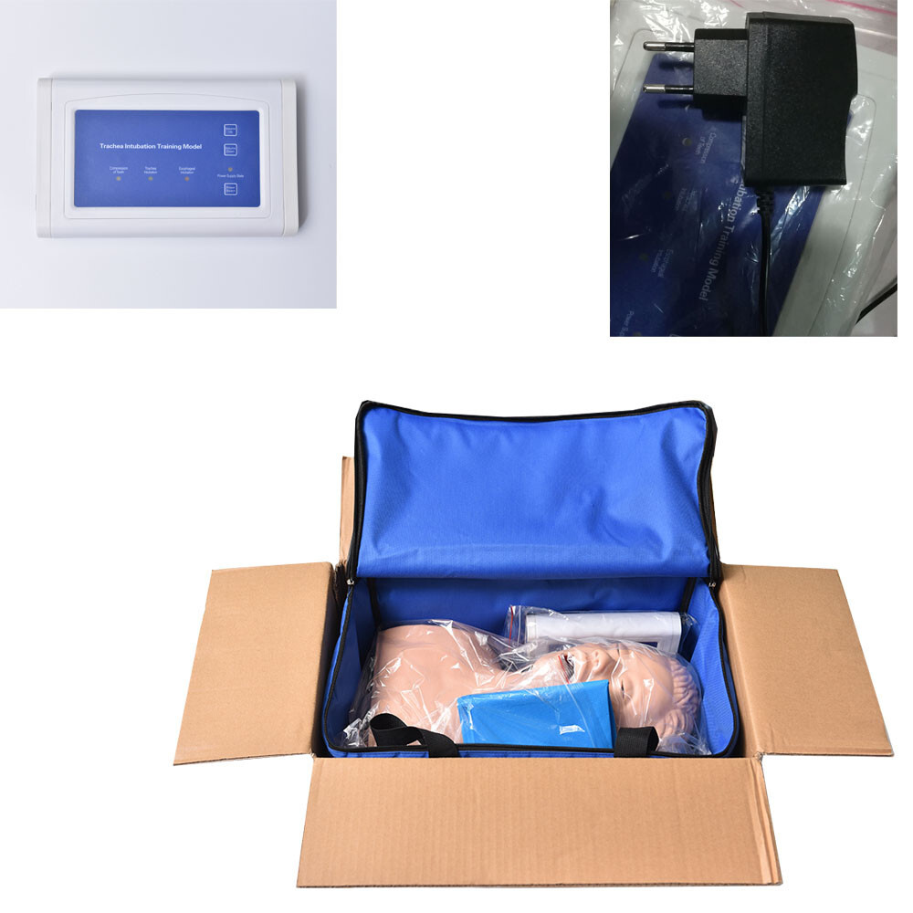 Electronic Silicone Airway Management Trainer,110VStudy Manikin TeachingModel