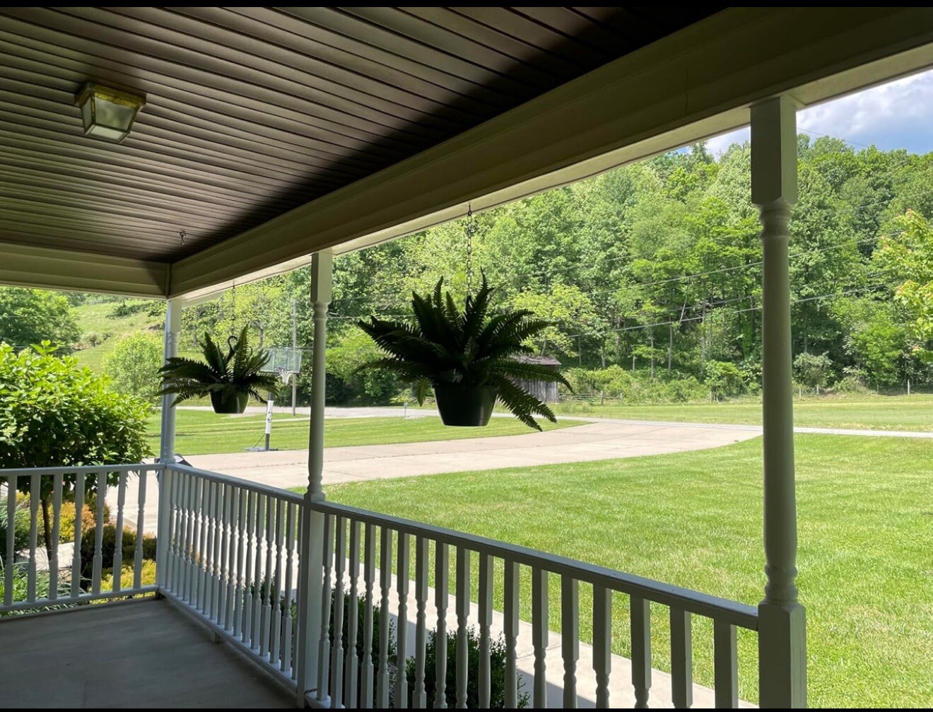 48" Boston Fern Artificial Bush Plant Pack 2. Retail $103