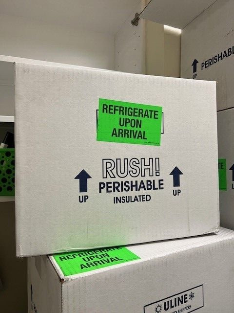Insulated foam shipping kit