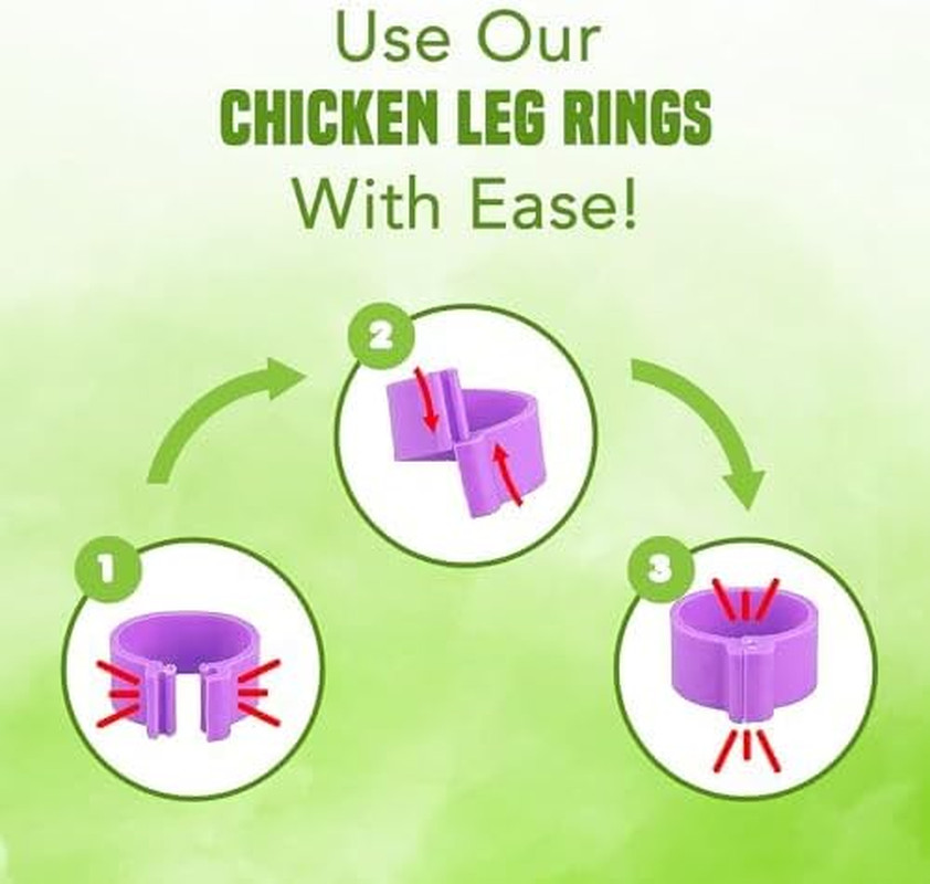 Multi-Colored Poultry Leg Bands for Identification, 100 Pcs, 0.6